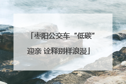 枣阳公交车“低碳”迎亲 诠释别样浪漫
