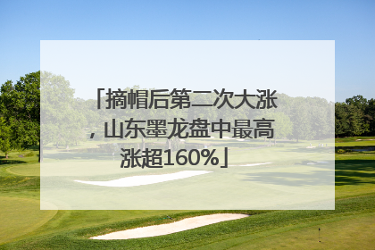 摘帽后第二次大涨，山东墨龙盘中最高涨超160%