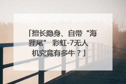 擅长隐身、自带“海狸尾” 彩虹-7无人机究竟有多牛？