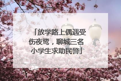 放学路上偶遇受伤夜鹭，聊城三名小学生求助民警