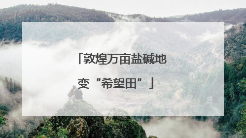 敦煌万亩盐碱地变“希望田”