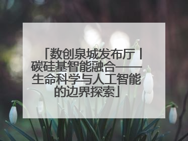 数创泉城发布厅丨碳硅基智能融合——生命科学与人工智能的边界探索