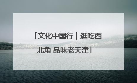 文化中国行｜逛吃西北角 品味老天津