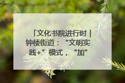 文化书院进行时｜钟楼街道：“文明实践+”模式，“加”出百姓幸福感