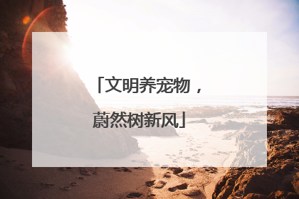 文明养宠物，蔚然树新风