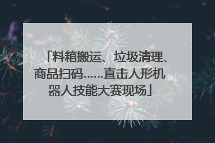 料箱搬运、垃圾清理、商品扫码……直击人形机器人技能大赛现场