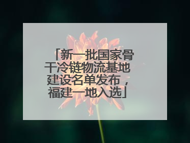 新一批国家骨干冷链物流基地建设名单发布，福建一地入选