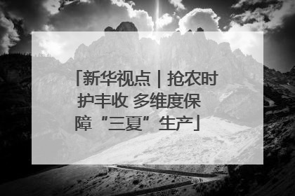 新华视点｜抢农时 护丰收 多维度保障“三夏”生产