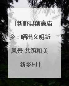 新野县前高庙乡：晒出文明新风景 共筑和美新乡村