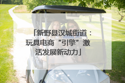 新野县汉城街道：玩具电商“引擎”激活发展新动力