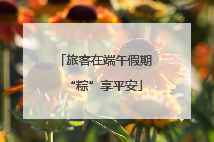 旅客在端午假期“粽”享平安
