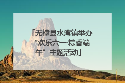 无棣县水湾镇举办“欢乐六一·粽香端午”主题活动