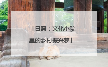 日照：文化小院里的乡村振兴梦