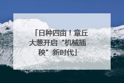 日种四亩！章丘大葱开启“机械插秧”新时代