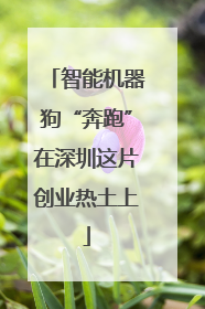 智能机器狗“奔跑”在深圳这片创业热土上