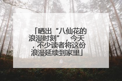 晒出“八仙花的浪漫时刻”，今天，不少读者将这份浪漫延续到家里
