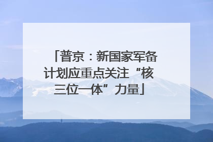 普京：新国家军备计划应重点关注“核三位一体”力量