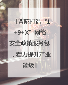 普陀打造“1+9+X”网络安全政策服务包，着力提升产业能级