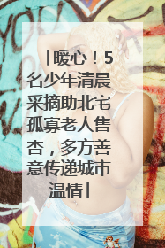 暖心！5名少年清晨采摘助北宅孤寡老人售杏，多方善意传递城市温情