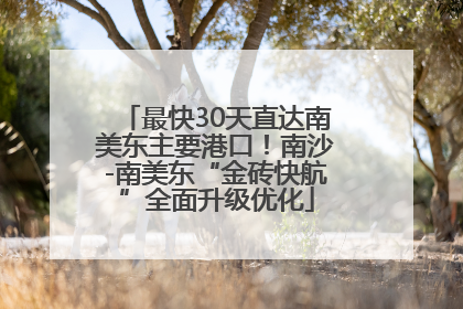 最快30天直达南美东主要港口！南沙-南美东“金砖快航”全面升级优化