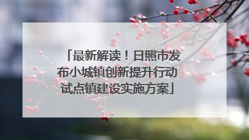 最新解读！日照市发布小城镇创新提升行动试点镇建设实施方案