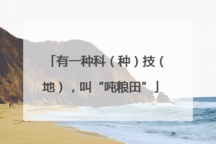 有一种科（种）技（地），叫“吨粮田”