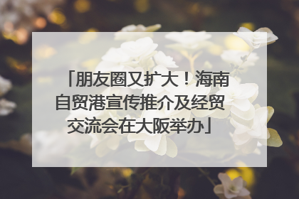 朋友圈又扩大！海南自贸港宣传推介及经贸交流会在大阪举办