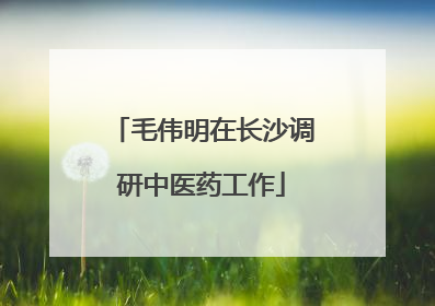 毛伟明在长沙调研中医药工作