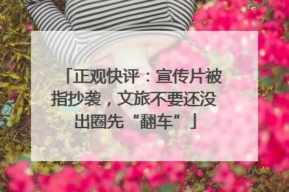 正观快评：宣传片被指抄袭，文旅不要还没出圈先“翻车”
