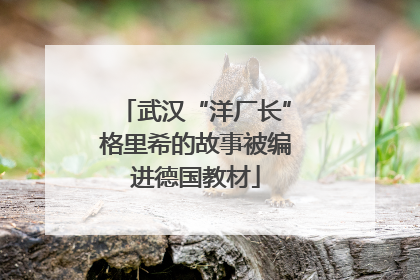 武汉“洋厂长”格里希的故事被编进德国教材