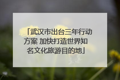 武汉市出台三年行动方案 加快打造世界知名文化旅游目的地