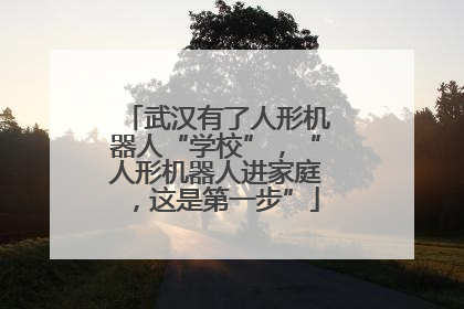 武汉有了人形机器人“学校”，“人形机器人进家庭，这是第一步”