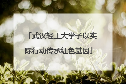 武汉轻工大学子以实际行动传承红色基因
