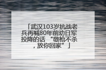 武汉103岁抗战老兵再喊80年前劝日军投降的话 “缴枪不杀，放你回家”