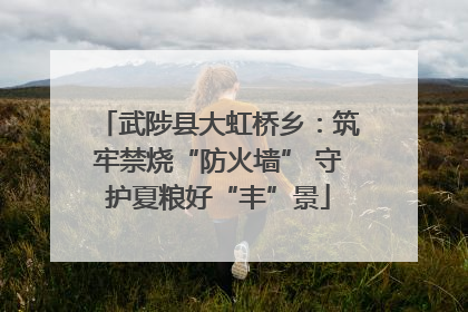 武陟县大虹桥乡：筑牢禁烧“防火墙” 守护夏粮好“丰”景