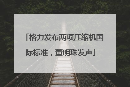 格力发布两项压缩机国际标准，董明珠发声