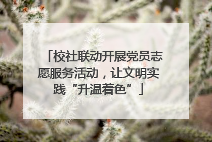 校社联动开展党员志愿服务活动，让文明实践“升温着色”