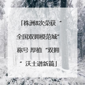 株洲8次荣获“全国双拥模范城”称号 厚植“双拥”沃土谱新篇