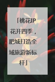 桃花IP花开四季，肥城打造全域旅游新标杆