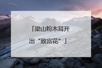 梁山粉木耳开出“致富花”
