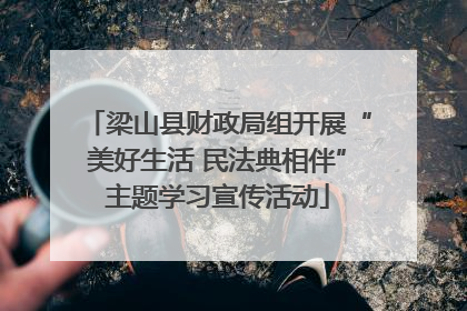梁山县财政局组开展“美好生活 民法典相伴”主题学习宣传活动