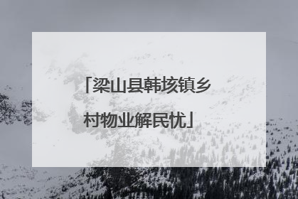 梁山县韩垓镇乡村物业解民忧