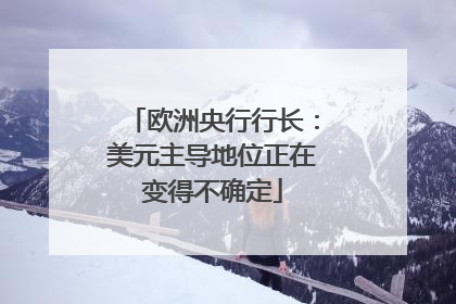 欧洲央行行长：美元主导地位正在变得不确定