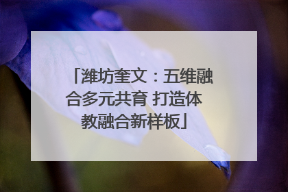 潍坊奎文：五维融合多元共育 打造体教融合新样板