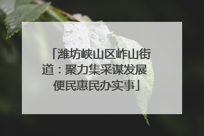潍坊峡山区岞山街道：聚力集采谋发展 便民惠民办实事