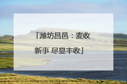 潍坊昌邑：麦收新事 尽显丰收