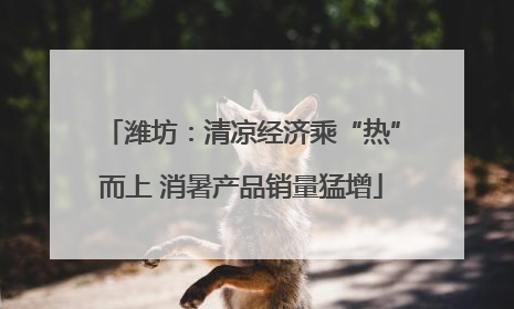 潍坊：清凉经济乘“热”而上 消暑产品销量猛增
