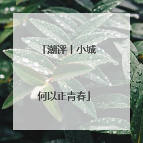 潮评丨小城何以正青春