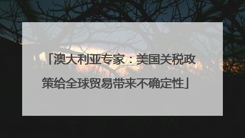 澳大利亚专家：美国关税政策给全球贸易带来不确定性