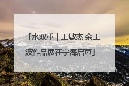 水双重｜王敏杰·余王波作品展在宁海启幕